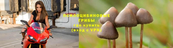 СК Майский