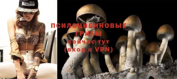 ешки Магадан